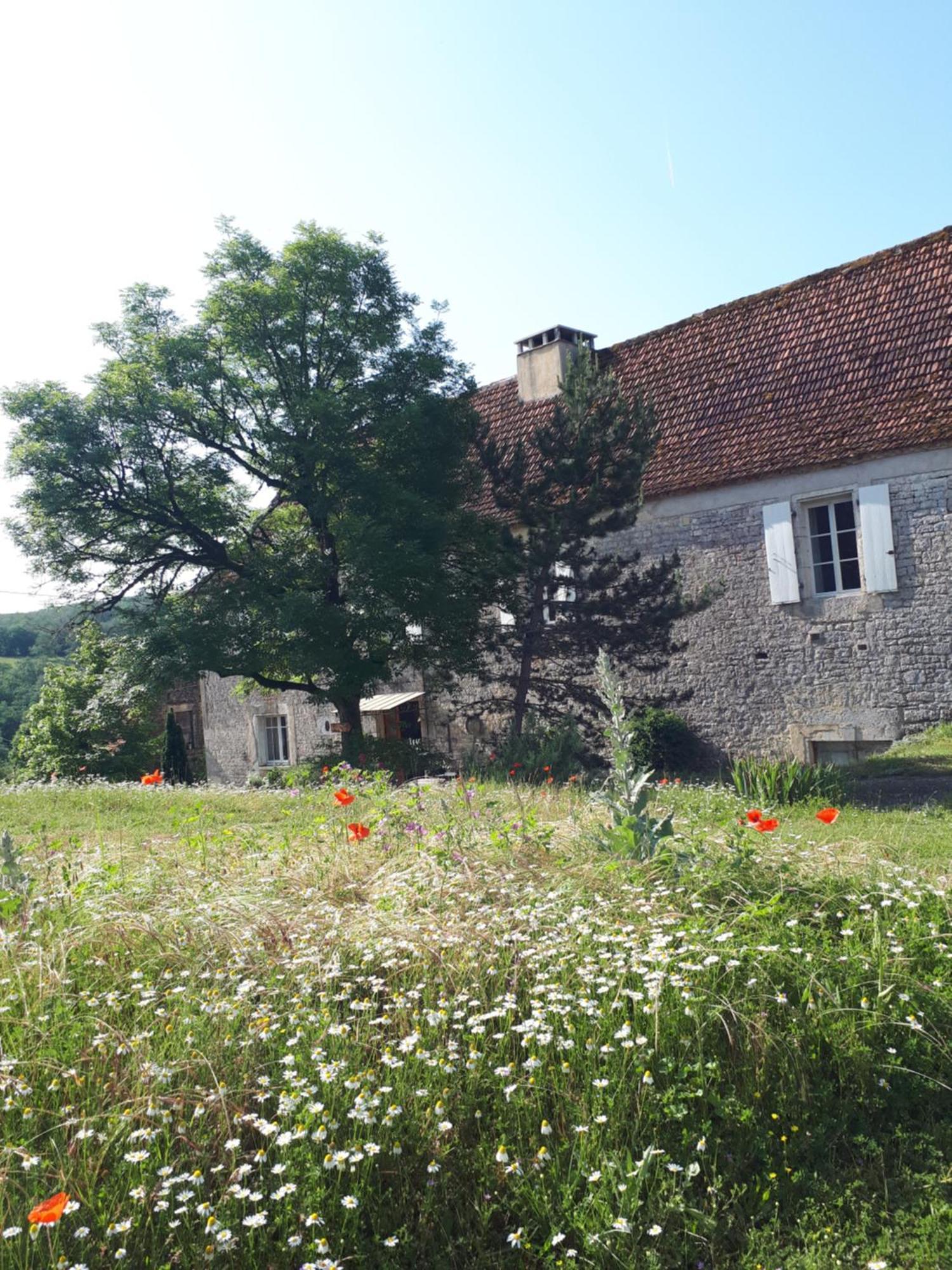 La Ferme De Roquedure Ξενοδοχείο Montfaucon  Εξωτερικό φωτογραφία