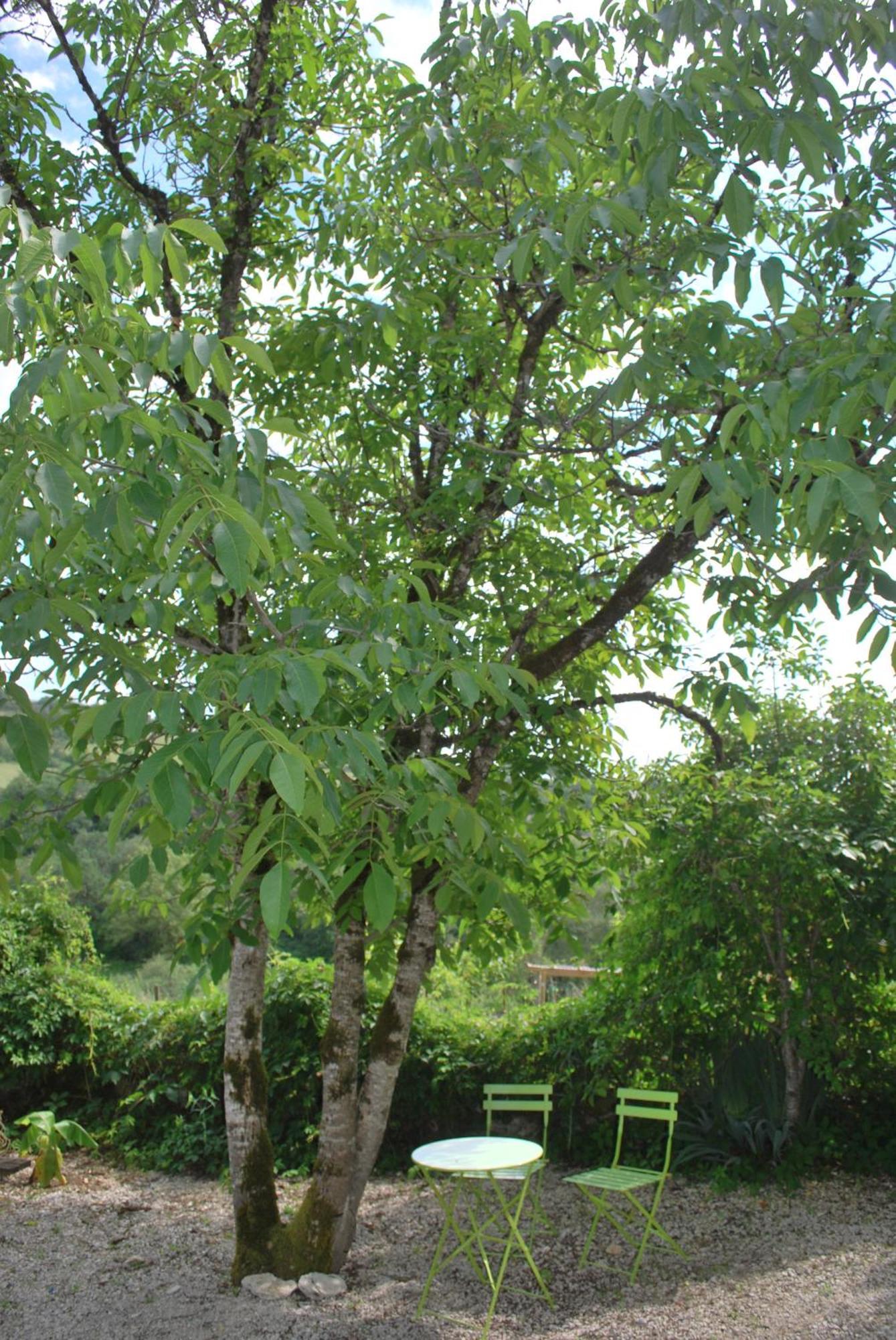 La Ferme De Roquedure Ξενοδοχείο Montfaucon  Εξωτερικό φωτογραφία